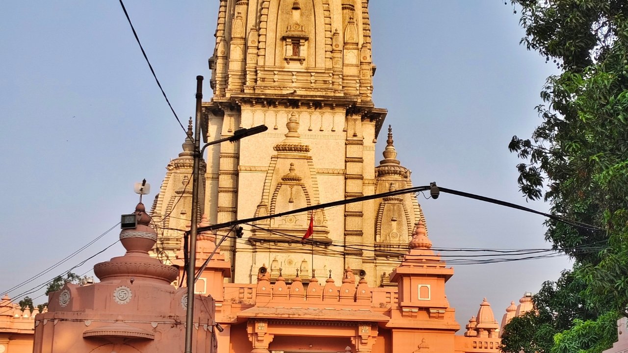 best tarot readers in India